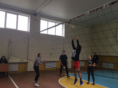 volley_col_201902.jpg