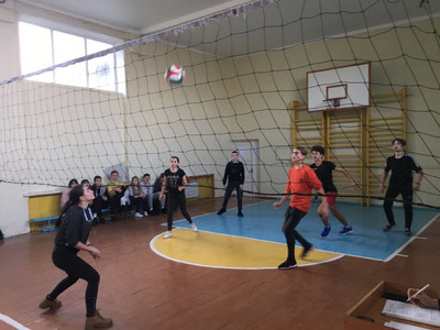 volley_col_201905.jpg